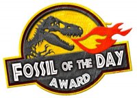 fossil