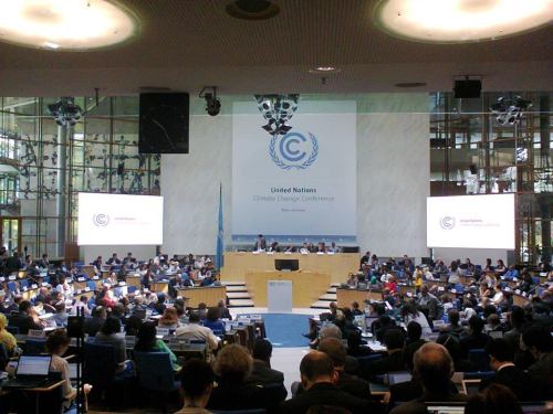 11351321_1006190832724673_552383177915453182_n